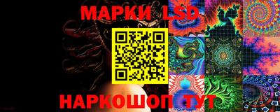 мдпв Новозыбков