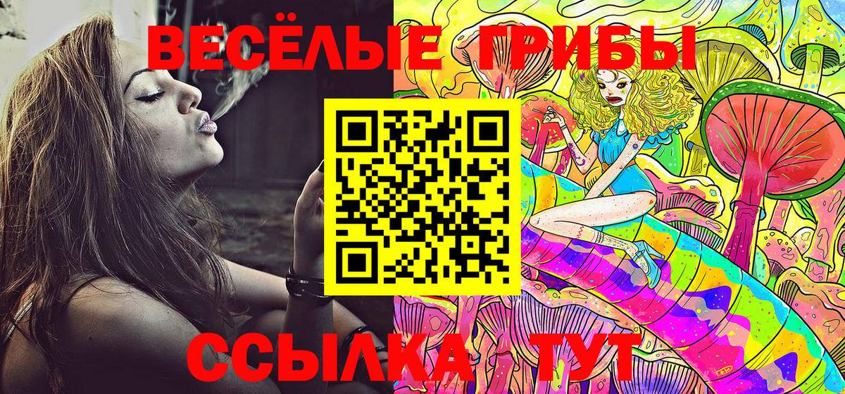 Псилоцибиновые грибы прущие грибы Сыктывкар